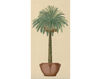 Wallpaper Iksel   Potted Palms PT 03 Oriental / Japanese / Chinese