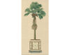 Wallpaper Iksel   Potted Palms PT 05 Oriental / Japanese / Chinese