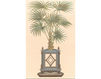 Wallpaper Iksel   Potted Palms PT 12 Oriental / Japanese / Chinese
