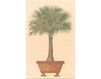 Wallpaper Iksel   Potted Palms PT 15 Oriental / Japanese / Chinese