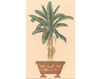 Wallpaper Iksel   Potted Palms PT 16 Oriental / Japanese / Chinese