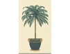 Wallpaper Iksel   Potted Palms Regina Palm 1 Oriental / Japanese / Chinese