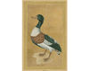 Wallpaper Iksel   Watteau Birds Walt 5 Oriental / Japanese / Chinese