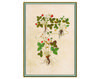 Wallpaper Iksel   Renaissance Herbier RH 25 Oriental / Japanese / Chinese