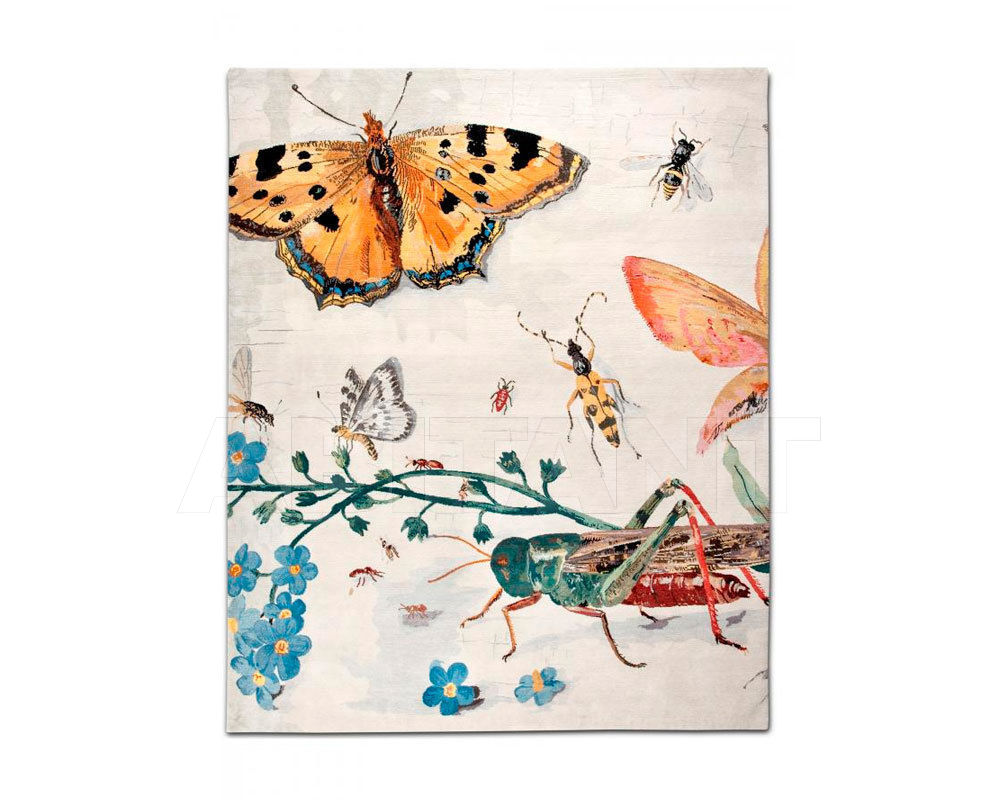 Buy Modern carpet Rug Star 2016 Grasshopper 