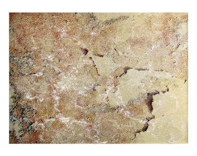 Alex Turco Decorative 3d Wall Panels Buy Order Online On Abitant