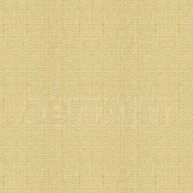 Buy Upholstery  Chaddock Fabrics, Leathers & Trims F4017-BEIG