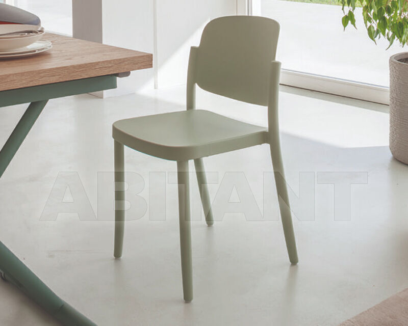 Buy Chair Dory Altacom Italia 2024 AS019