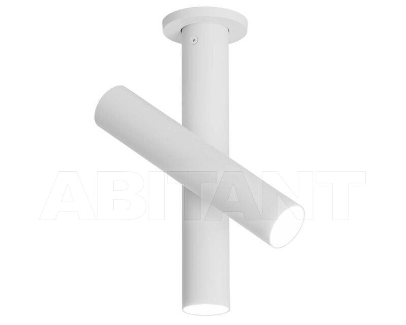 Buy Light TUBES Nemo   2024 TTB LWW 42