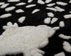 Designer carpet Nodus by IL Piccoli Allover LOOKING FOR SEEDS Contemporary / Modern