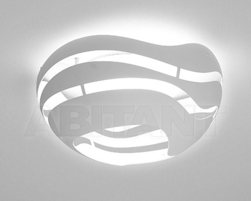 Light TREE SERIES C50 LED one-colour price on request Buy Light Grupo B.Lux Deco TREE SERIES C50 LED one-colour