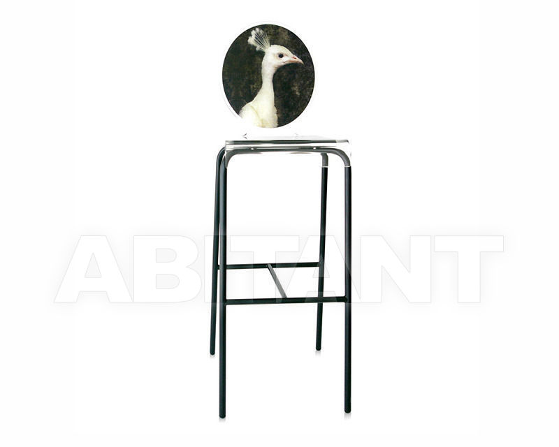 Buy Bar stool Acrila Graph Line Bar stool Peacock Graph collection